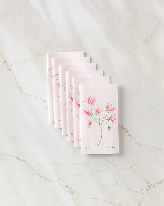 Seven packets of Linda Fox's April Sweet Pea seeds, featuring sweet pea flower illustrations, are fanned out on white marble beside a stack of eco-friendly kitchen towels for a fresh and sustainable vibe.