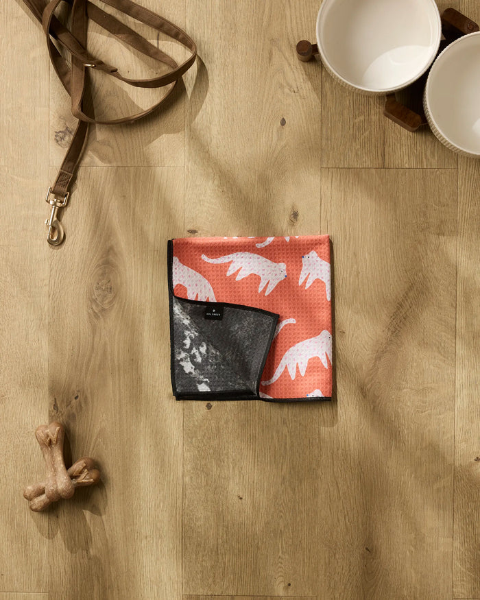 A tan dog leash, two white bowls with a wooden stand, a bone toy, and the Jennifer Bouron Cute Cheetah orange bandana plus an ultra-absorbent Paw Towel are arranged on a light wood floor.