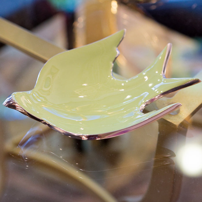 Dove Dish Small Pistachio - Nima Oberoi-Lunares