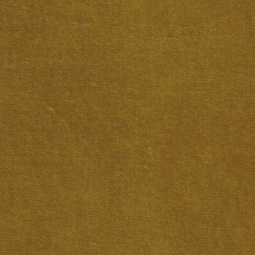 Buckskin