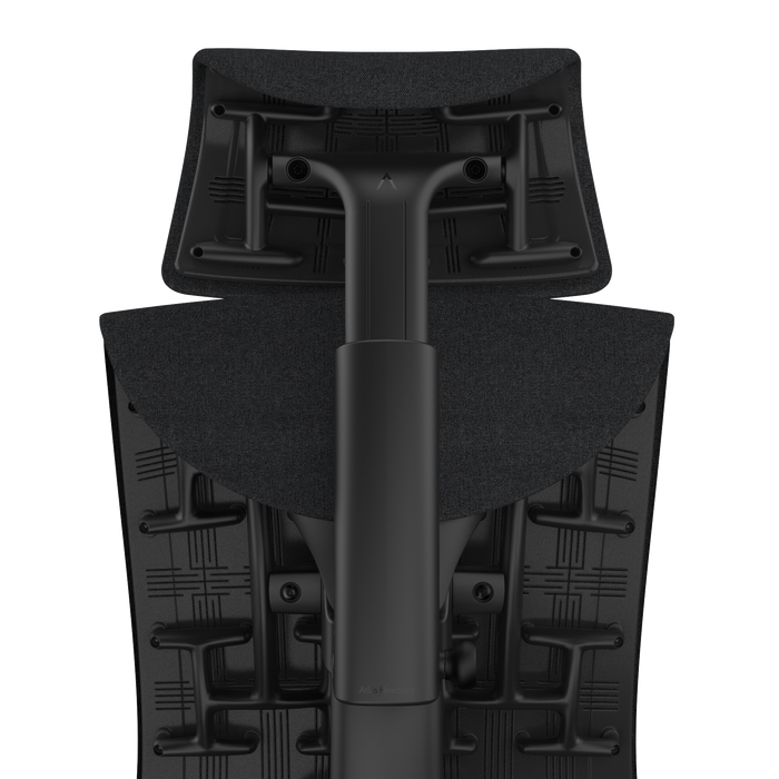 Cinder Medley Graphite Back Graphite Frame