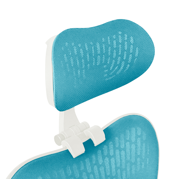 White / Blue