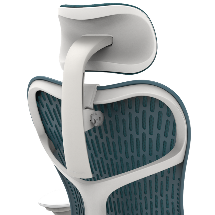 Extended Reach / Studio White / Dark Turquoise