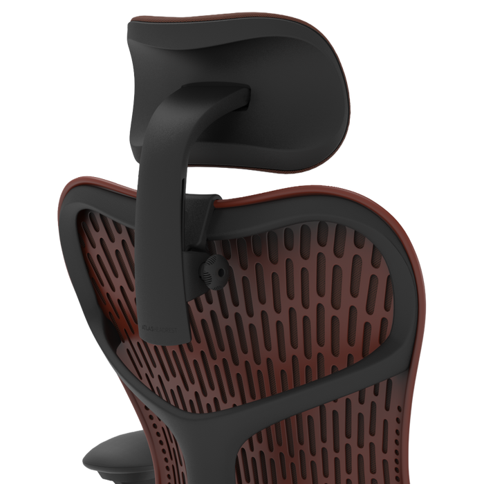 Standard / Graphite / Cordovan