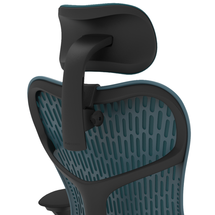 Standard / Graphite / Dark Turquoise