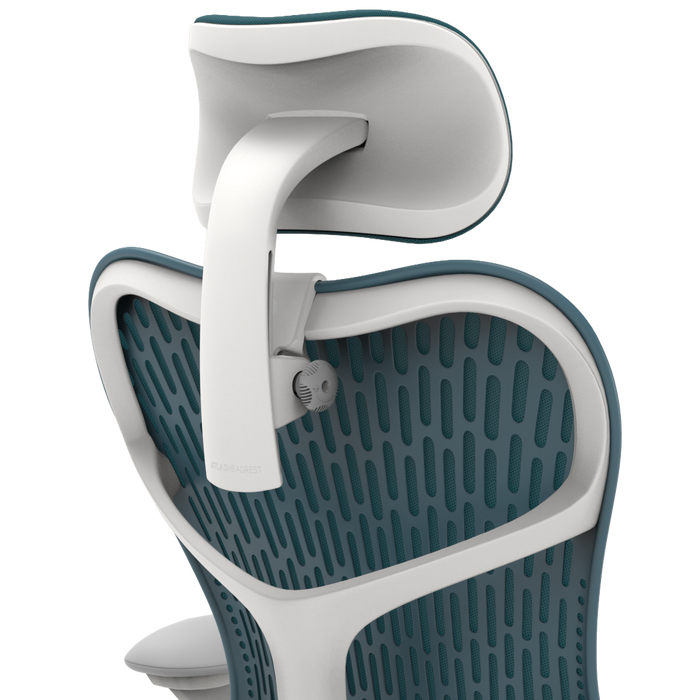 Standard / Studio White / Dark Turquoise