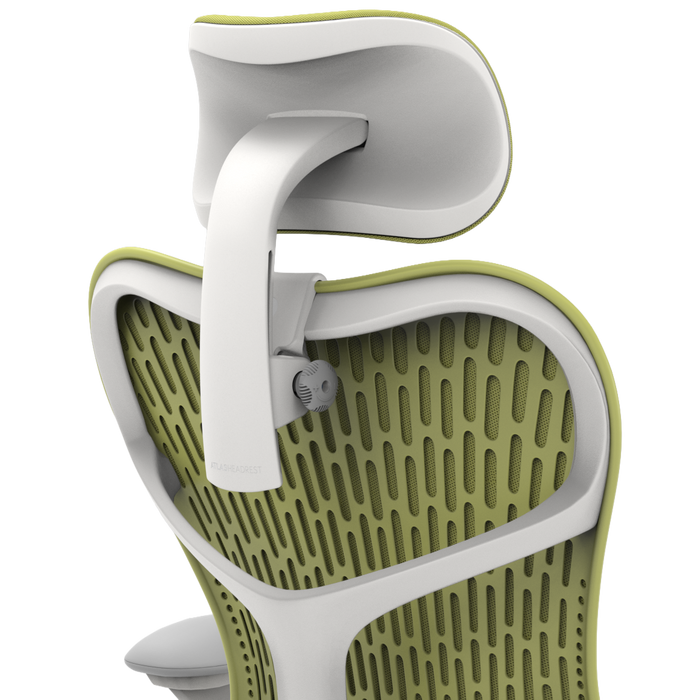 Standard / Studio White / Lime Green