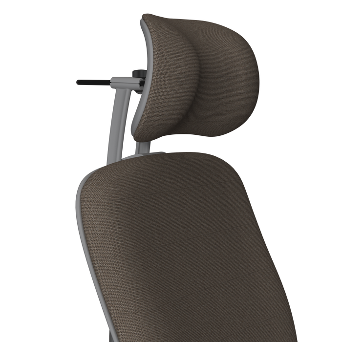 Mocha Softnext Platinum Frame