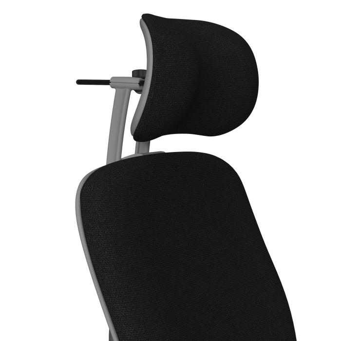 Obsidian Softnext Platinum Frame