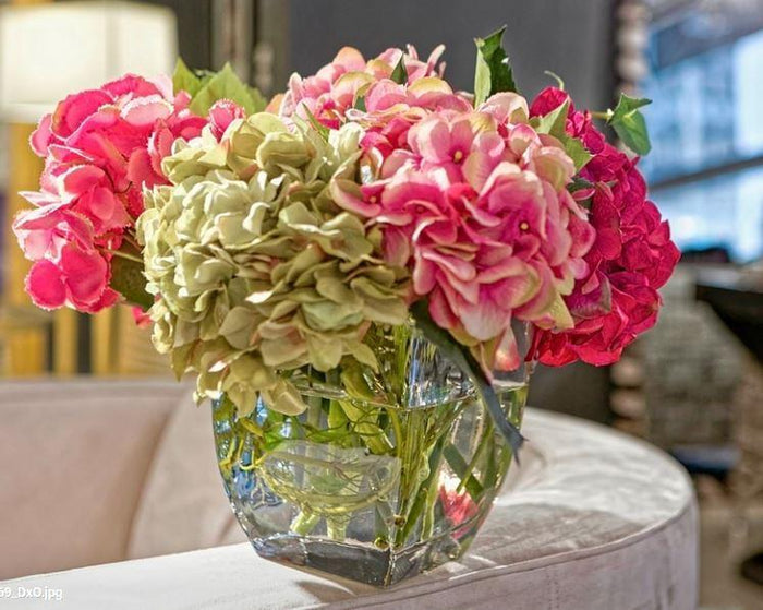 Hydrangea - NDI