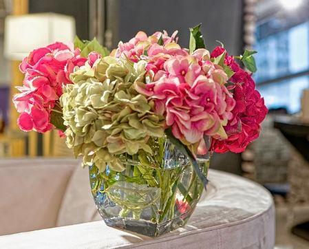 Hydrangea - NDI