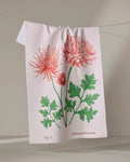 The Linda Fox November Chrysanthemum white tea towel hangs on a line, displaying illustrated pink and red chrysanthemum flowers with green leaves and the words "Fig 11 Chrysanthemum" at the bottom.