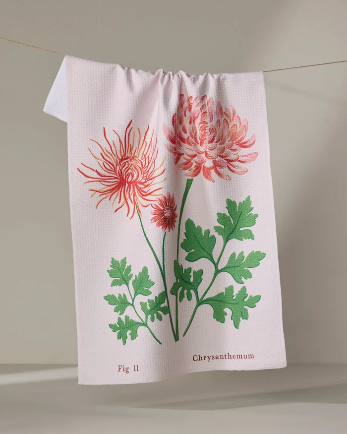 The Linda Fox November Chrysanthemum white tea towel hangs on a line, displaying illustrated pink and red chrysanthemum flowers with green leaves and the words "Fig 11 Chrysanthemum" at the bottom.