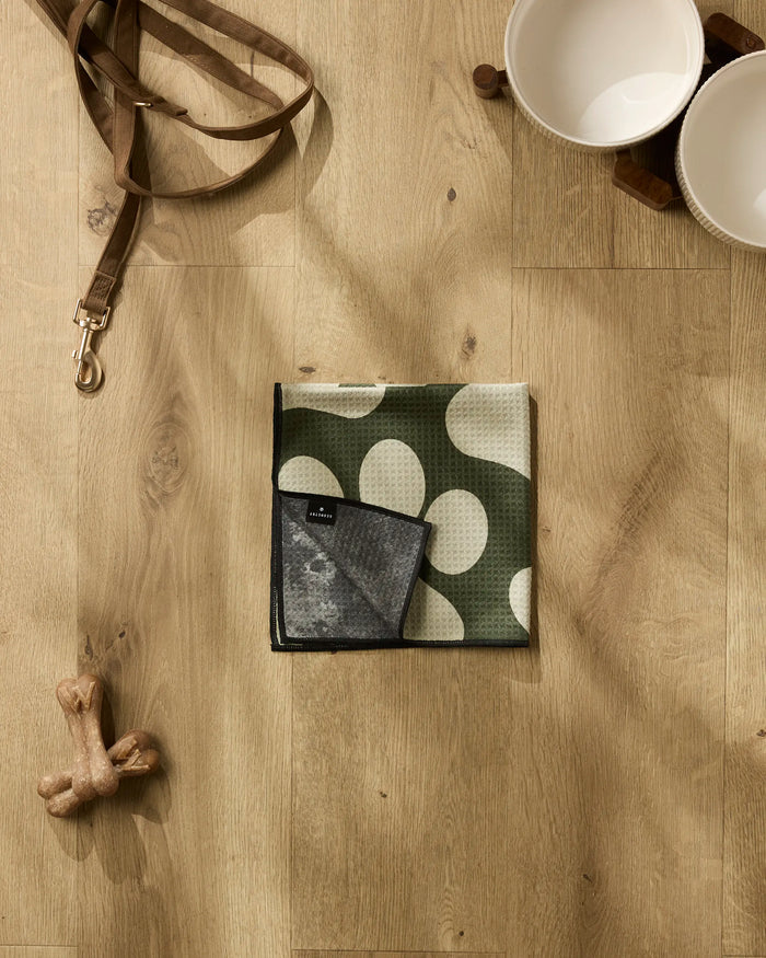 Geometry’s Paw Prints collection on a wooden floor: a brown leash, two white bowls on a stand, an ultra-absorbent Geometry Paw Prints towel with white spots, a black washcloth, and a chew bone.